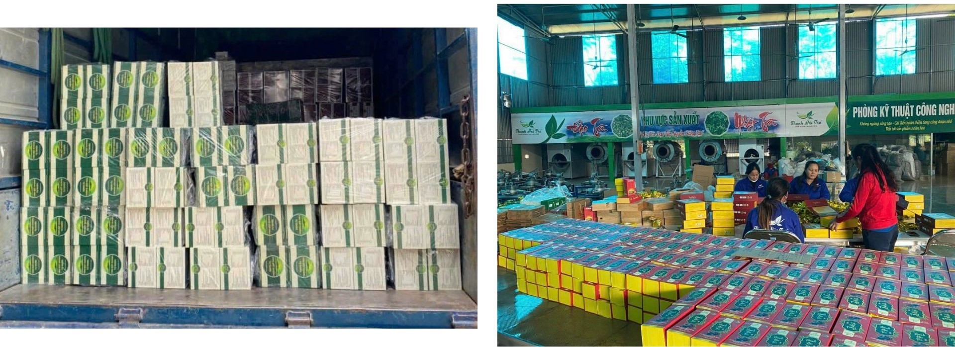 san-xuat-hop-tra-so-luong-lon